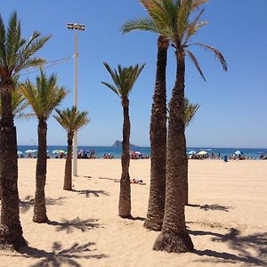 Apartamentos Carolina - Arca Rent